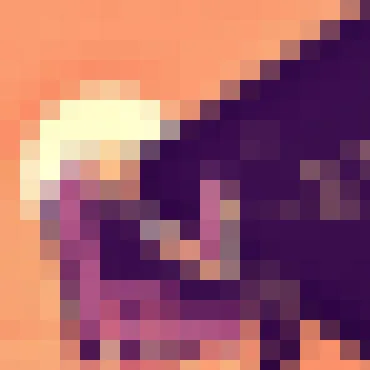 K1体育直播APP